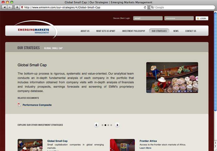 Emerging Markets Management - project screenshot